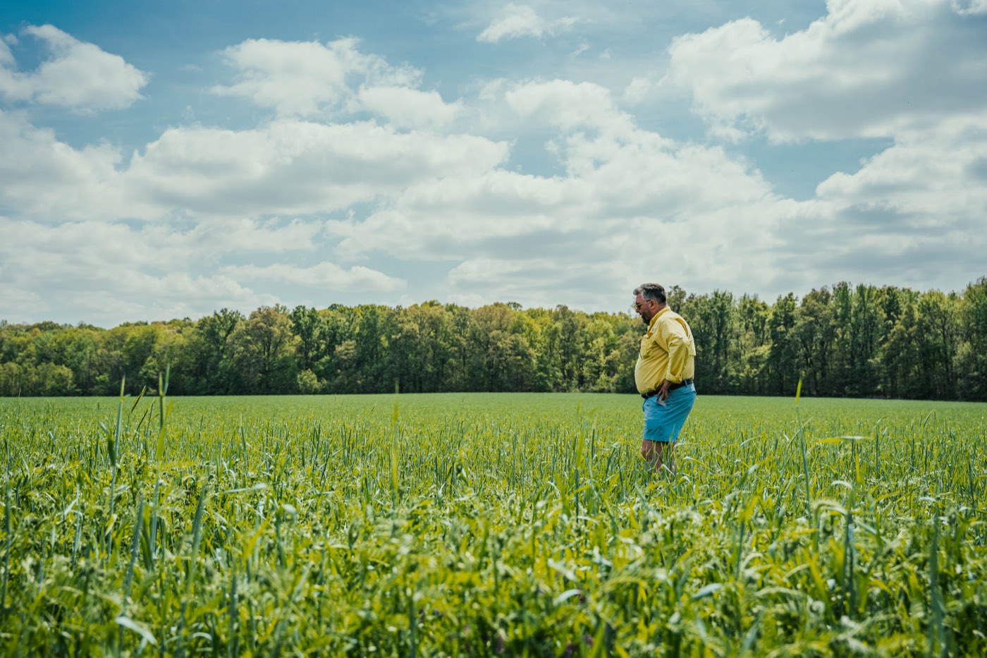 A farmer standing in a green field under a wide blue sky at Castor River Farms