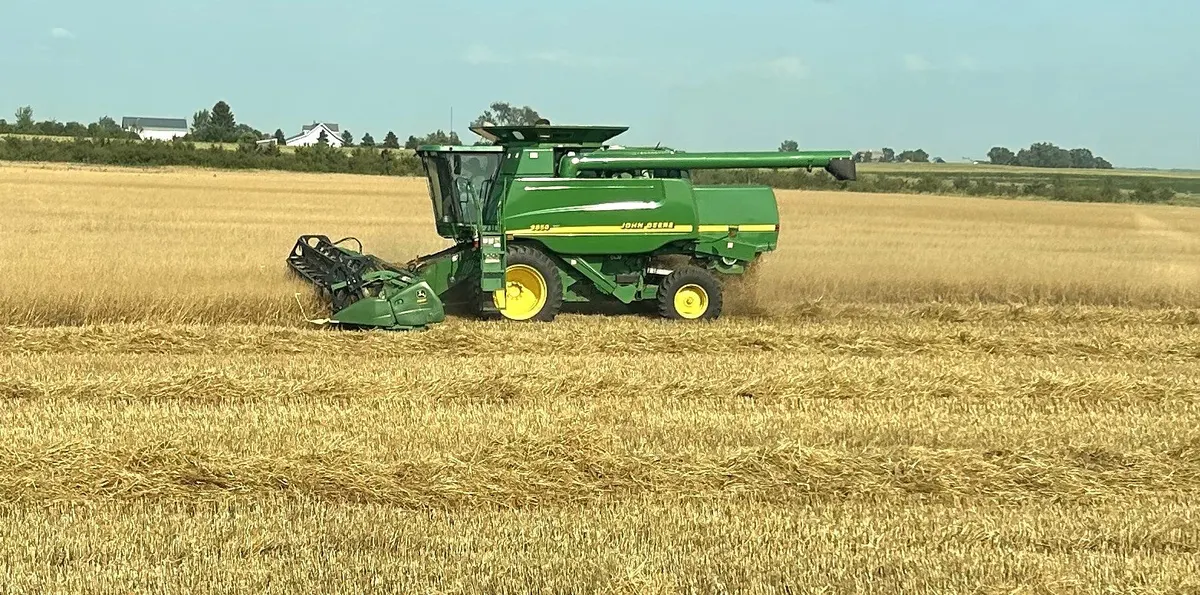 A green combine harvesting a golden field on the Anthem Oats family farm in South Dakota.